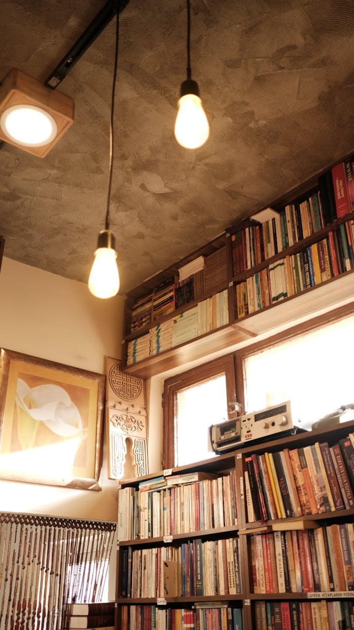 A room with bookshelves and lights hanging from the ceiling